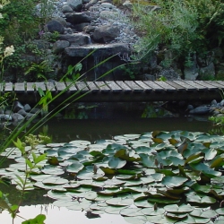 2006.07.15.-009neu.jpg