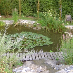 2006.07.15. 033.jpg