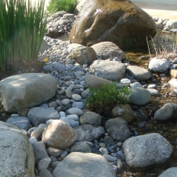 2008.05.01 104.jpg