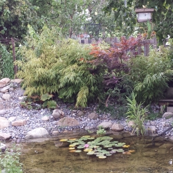 20150816_143950neu.jpg
