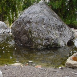 DSC00894.JPG