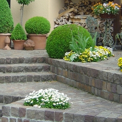 2009.05.08-Gärten-041neu.jpg