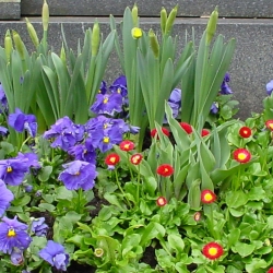 05.03.28.-Friedhof-001.jpg