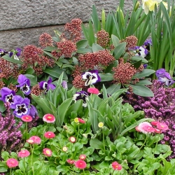 05.03.28.-Friedhof-002.jpg