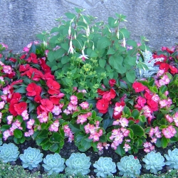 05.06.16. Friedhof, Buchrain,Cleven 023.jpg