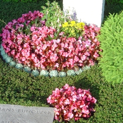 05.06.16. Friedhof, Buchrain,Cleven 065.jpg