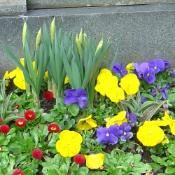 2007.03.31.-025.jpg