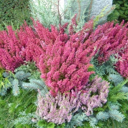 Friedhof 2 007.jpg