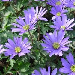 2006.04.19. 007.jpg