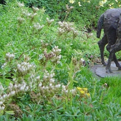 2006.07.15.-042.jpg
