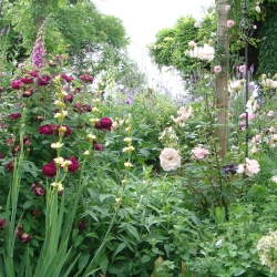 2007.05.28. 009.jpg