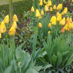 2013-04-30-13.22.22.jpg
