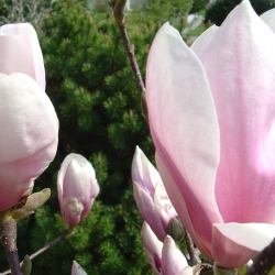 2006.04.21. 010.jpg