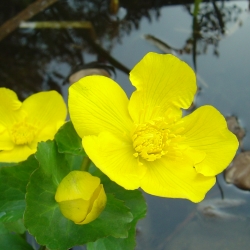2006.04.21. 025.jpg