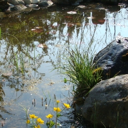 2007.04.13. 011.jpg