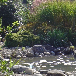 DSC04534.jpg