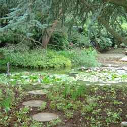 Schäfer Dielsdorf 027.jpg