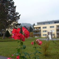 P1060221.JPG